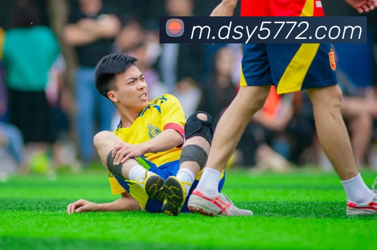 大三元官网平台登录平台生态图