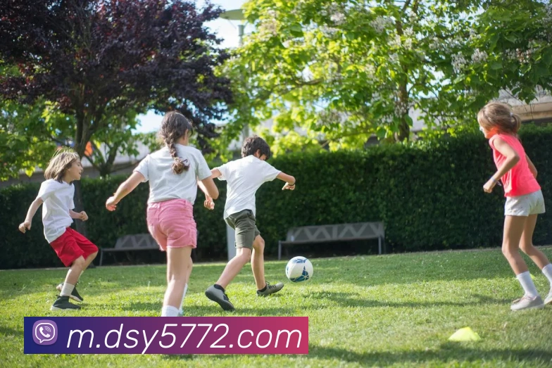 大三元官网平台登录全站App